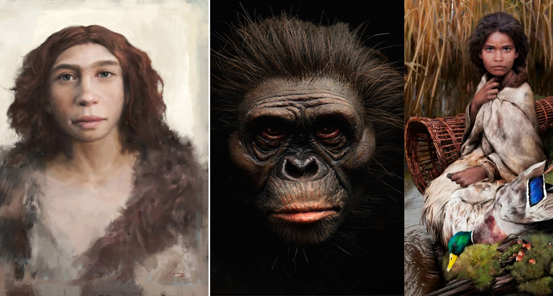 El misterio revelado Descubre el origen de la esposa de Caín y su