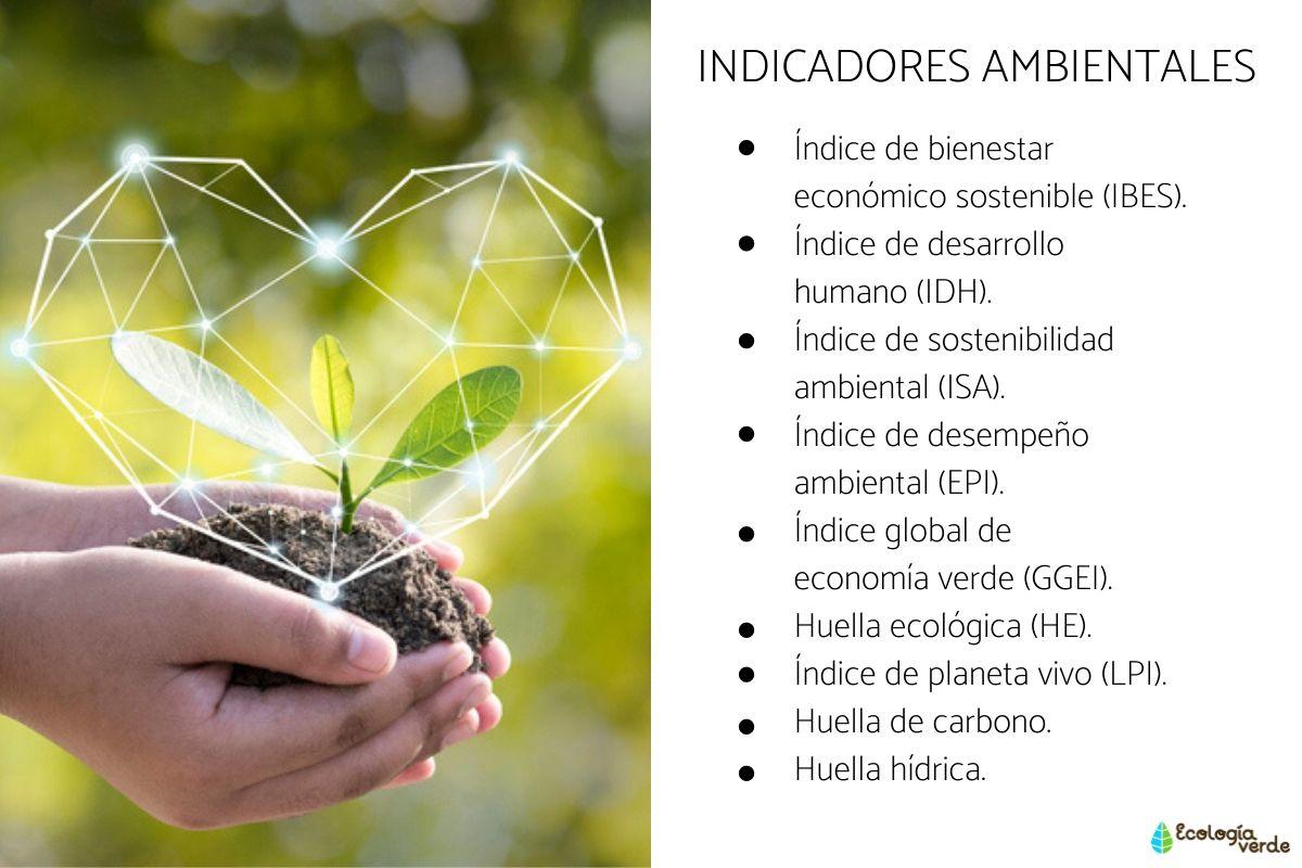 Cuales Son Los 7 Indicadores De Sustentabilidad Que Transformarán Tu Perspectiva Ambiental